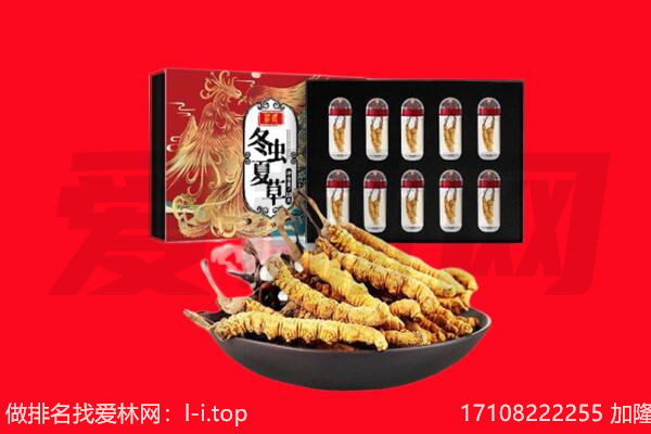 铜川回收虫草.jpg
